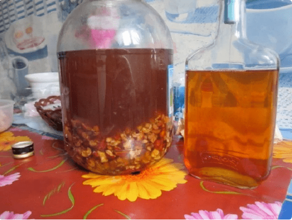Therapeutische Tinkturen von Parasiten