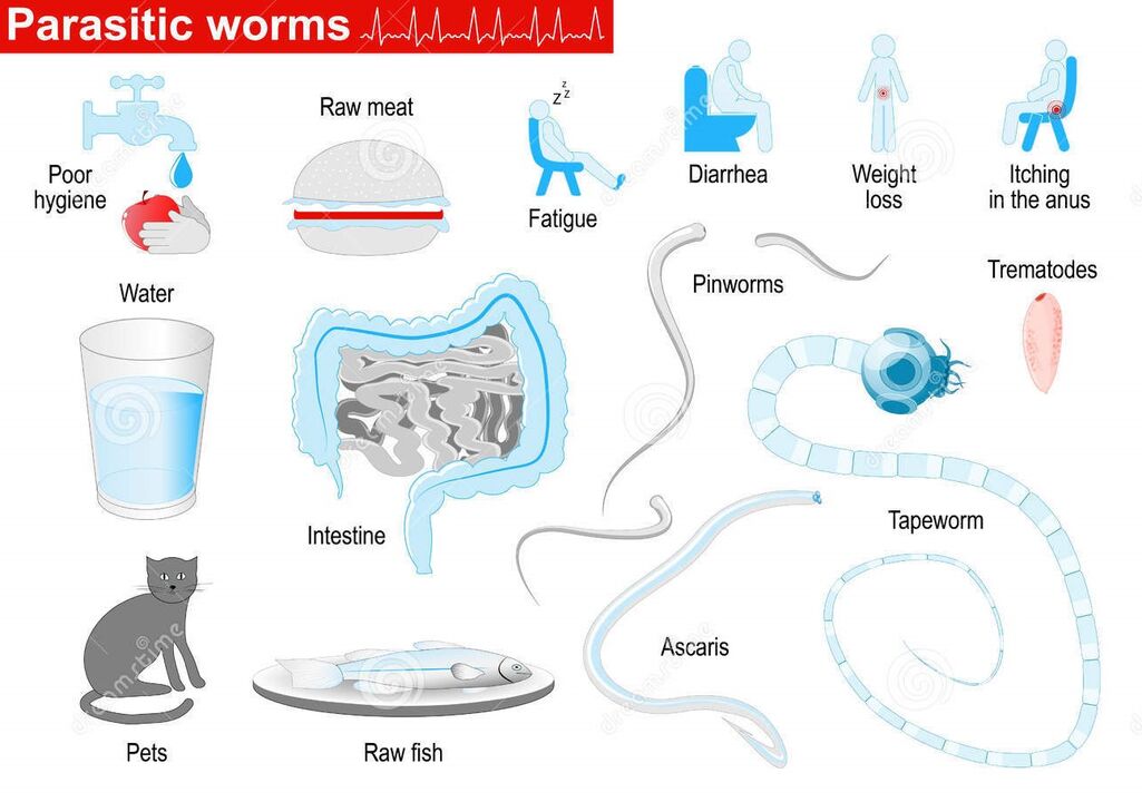 Parasiten und Symptome